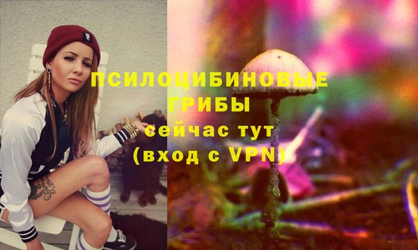 тгк Арсеньев