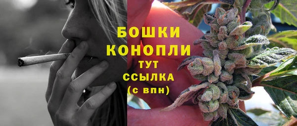 тгк Арсеньев