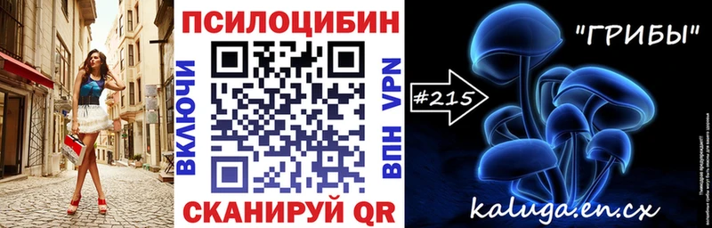 Галлюциногенные грибы MAGIC MUSHROOMS  где найти   МЕГА сайт  Рудня 